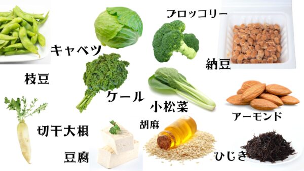 カルシウム　野菜