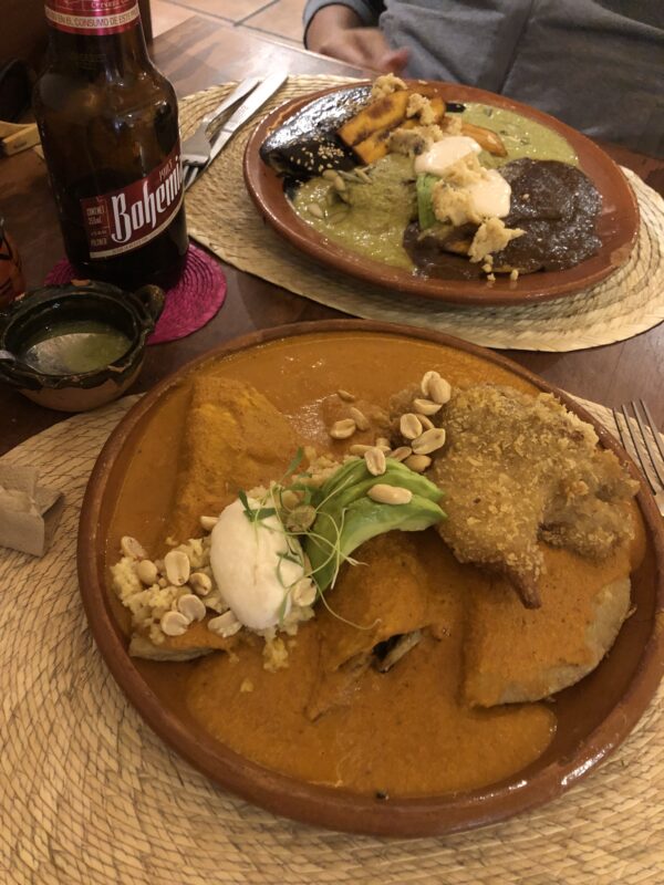 メキシコシティ　ヴィーガン　ベジタリアン　レストラン